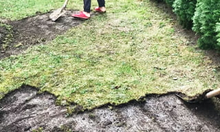 Снятие дерна старого газона в Рязани – от 524 руб. | 2Землекопа-Рзн